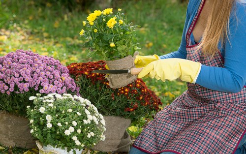 Colindale gardener completing a secure payment