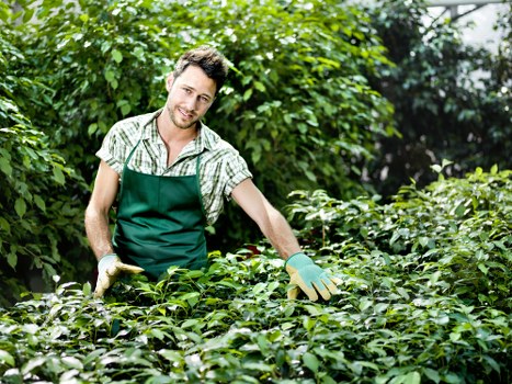 Operative using hedge trimmer with protective gear